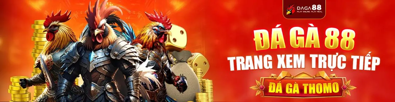 Đấu trường đá gà Wipwin trực tuyến sôi động